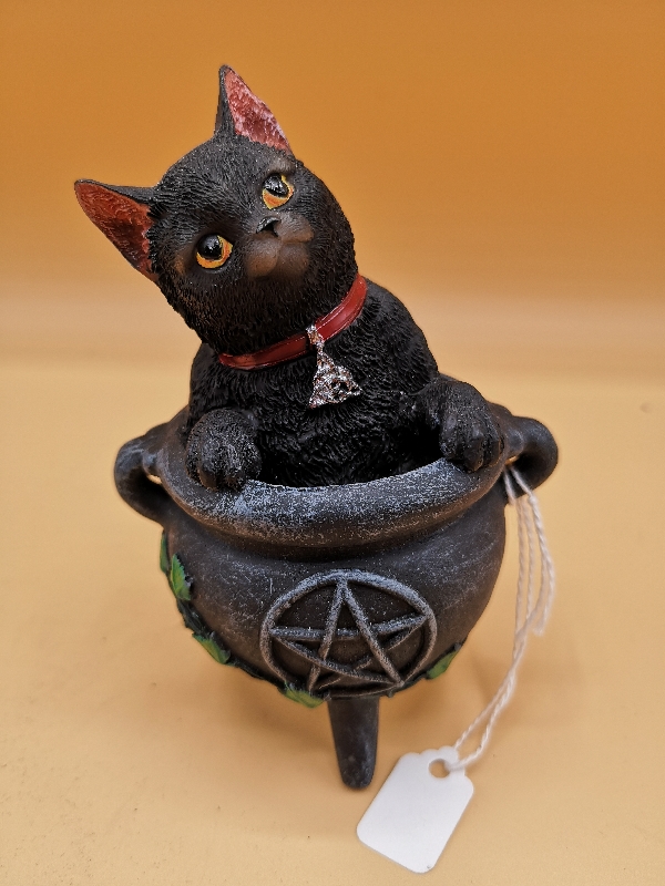 Black Cat sat in a Cauldron